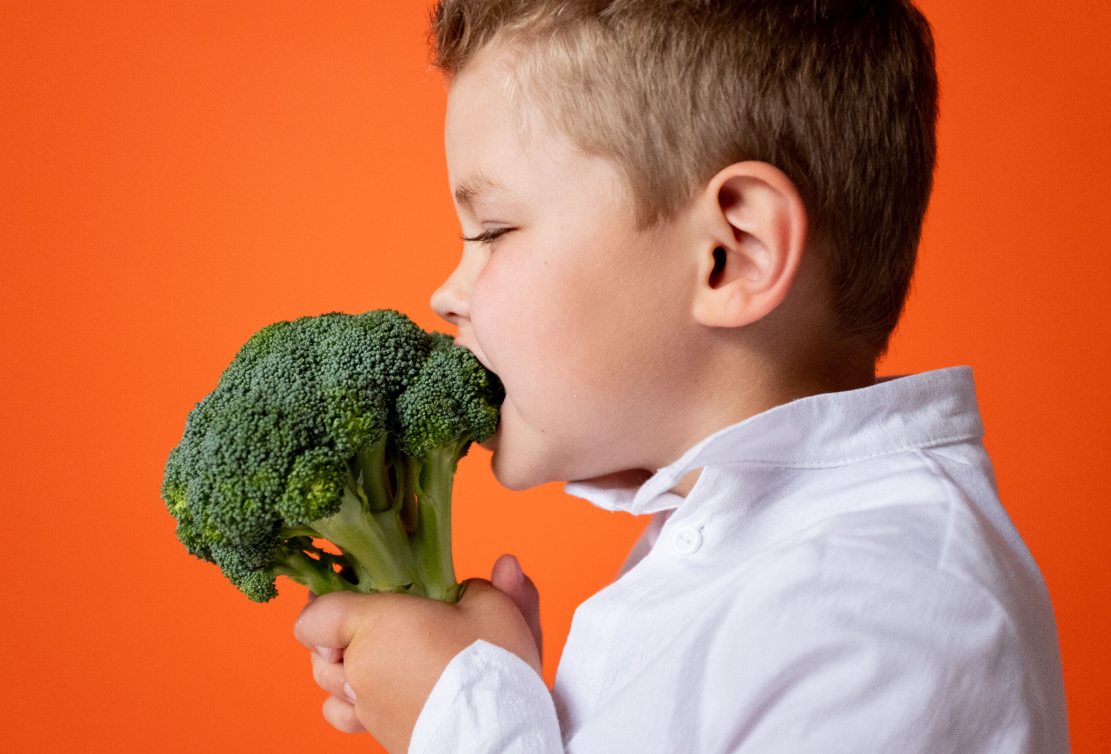 Plan nutrición infantil, nutrición y sobrepeso en la infancia