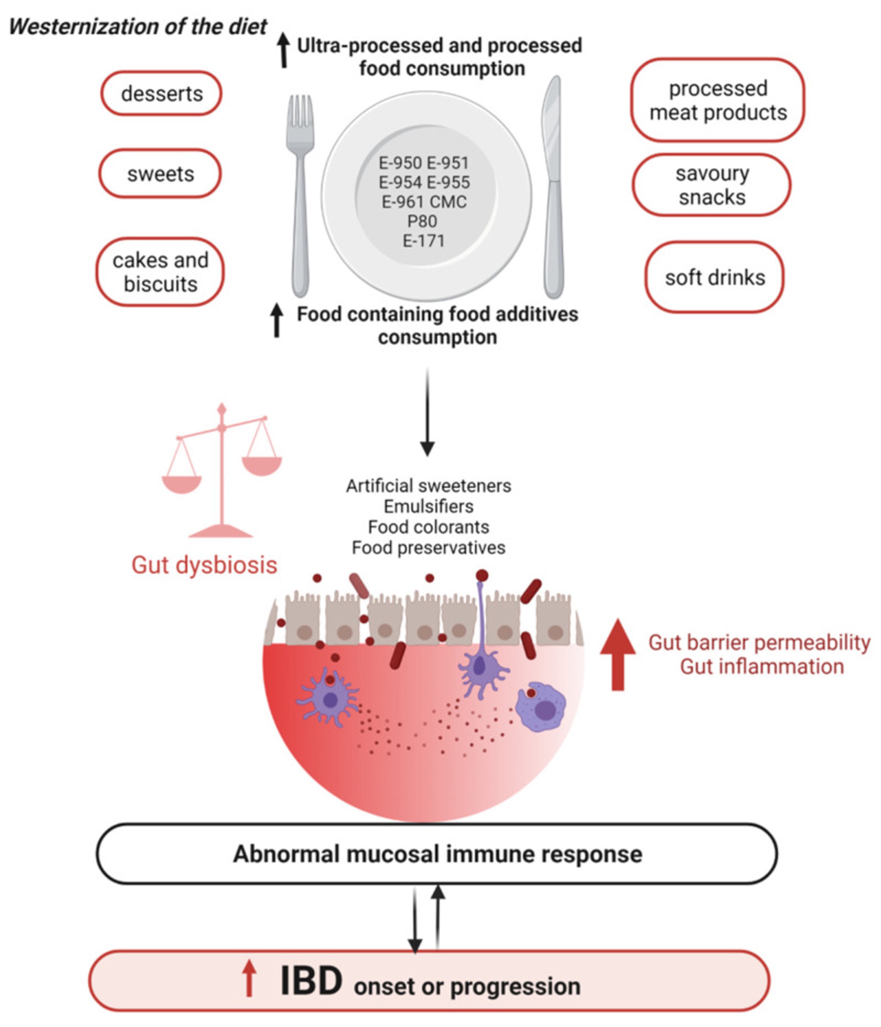 cinib ultraprocesados